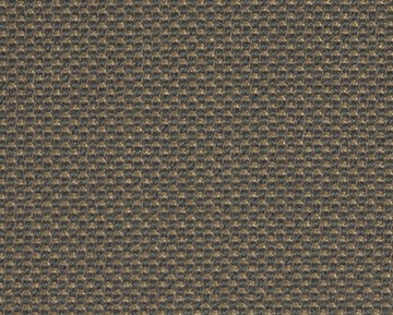 spot-06.jpg